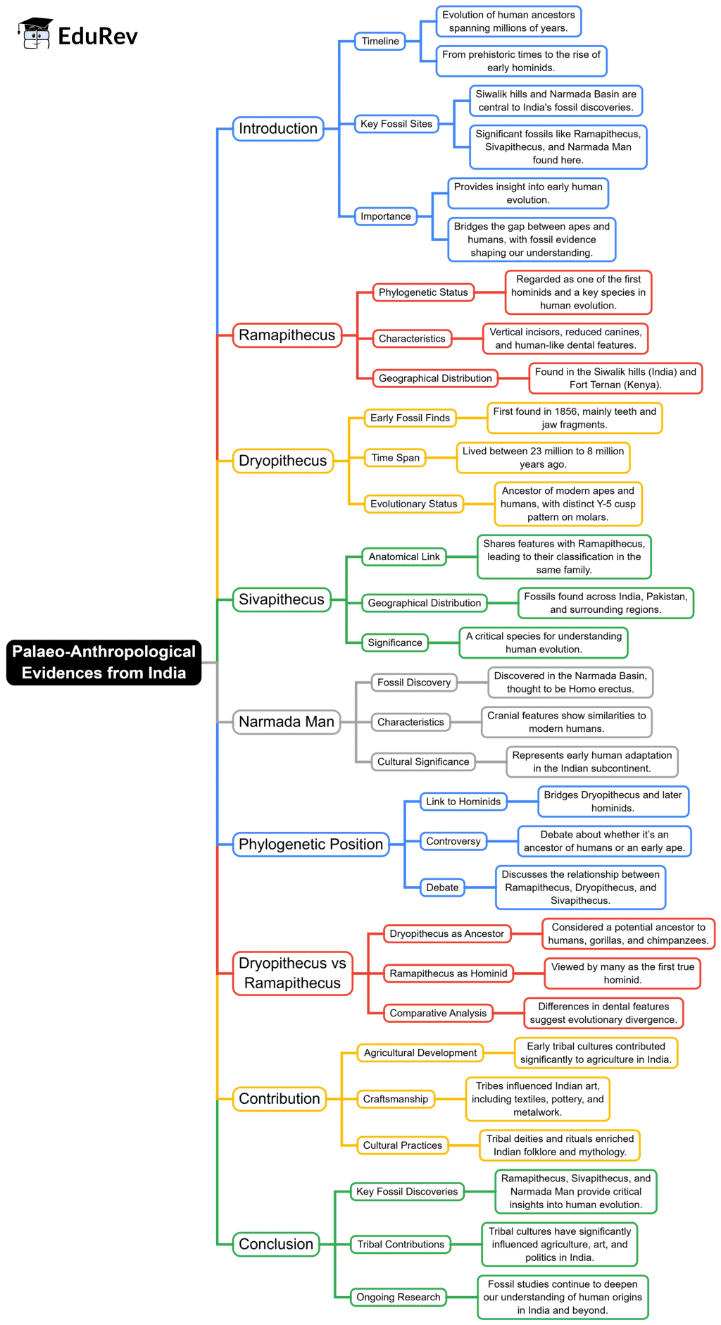 Mind Map: Palaeo Anthropology Evidence | Anthropology Optional for UPSC
