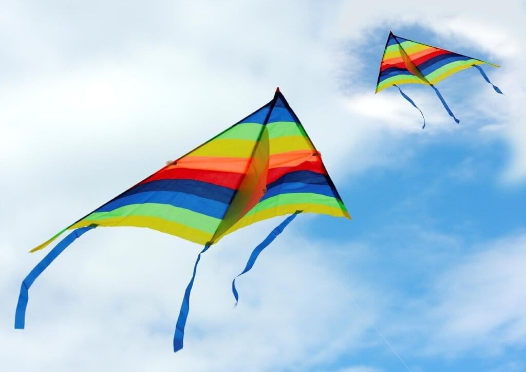 Worksheet Solutions: The Kites | English Class 6 (Honeysuckle)