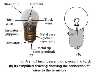 Half-Yearly Class 7 Science Set 1 (Solutions) | Science (Curiosity) Class 7 - New NCERT