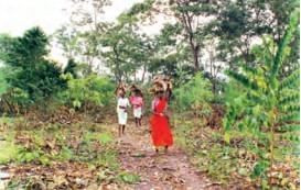 Class 9 History Chapter 4 Notes - Forest Society and Colonialism