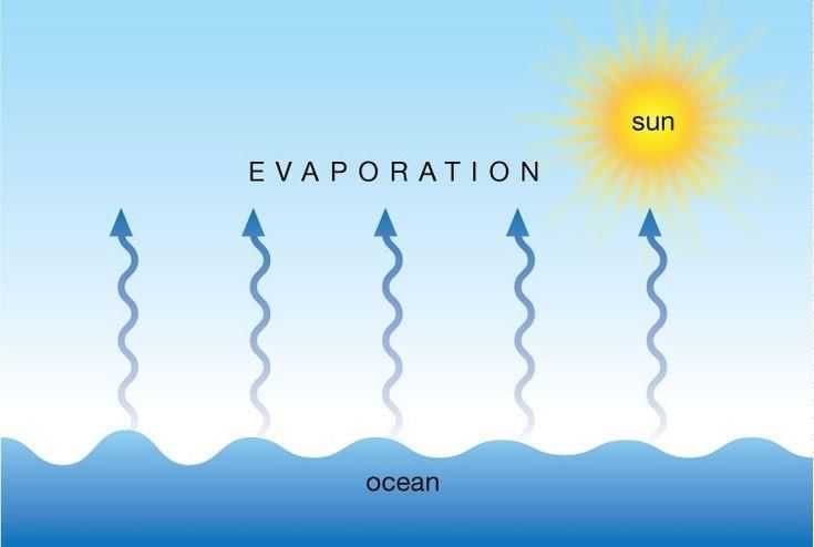 Unit Test Solutions: Heat Transfer in Nature | Science (Curiosity) Class 7 - New NCERT