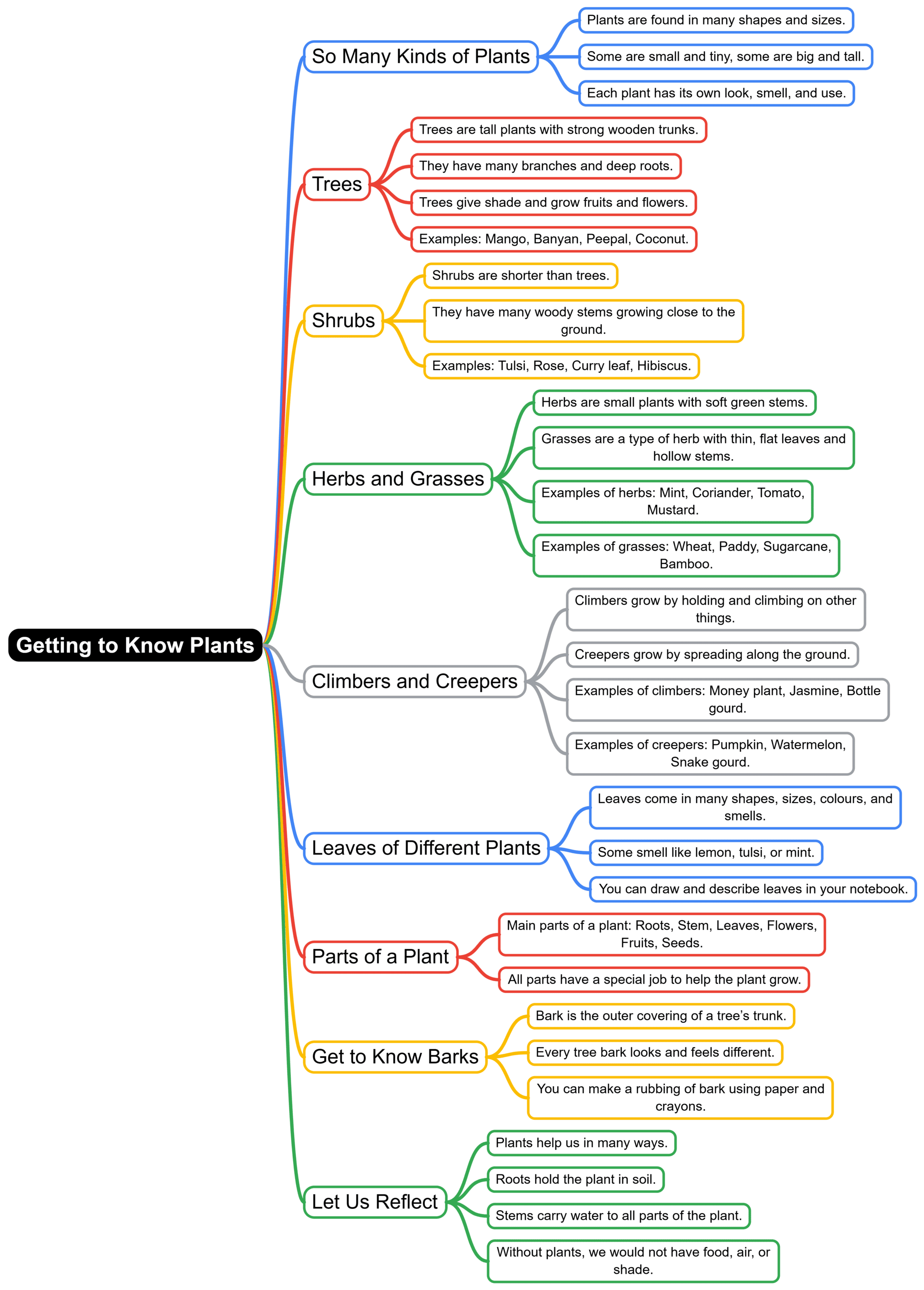 Mind Map: Getting to know plants