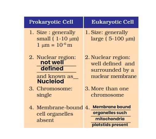 The Fundamental Unit of Life Class 9 Notes Science Chapter 5