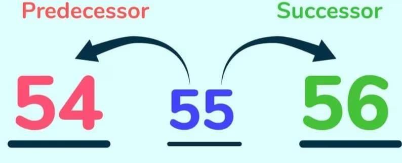 Numbers Chapter Notes | Preparation for EmSAT Grade 10