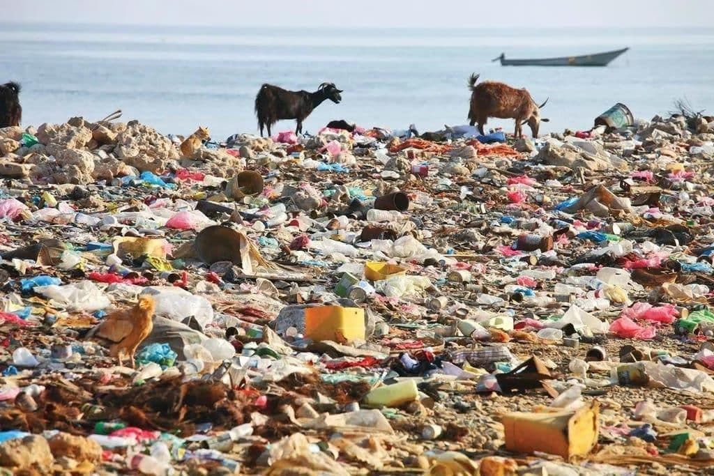 Our Environment (Part 2) Class 5 Notes Science