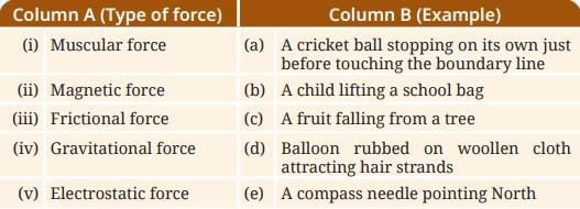 Exploring Forces NCERT Solutions | Science Curiosity Class 8 -  New NCERT