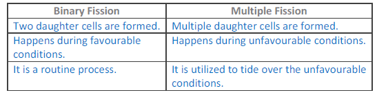 NCERT In Text Questions and Solutions: Chapter 8 - How do Organisms reproduce?, Class 10, Science