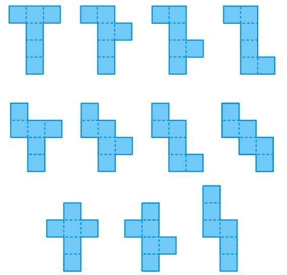 Volume and Surface Area Chapter Notes | Mathematics for Grade 6