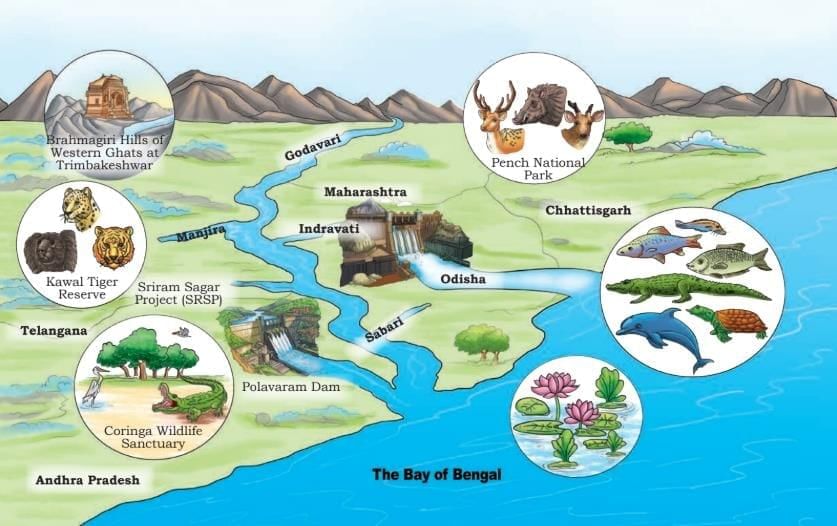 Journey of a River NCERT Solutions | Our Wondrous World  Class 5 - New NCERT