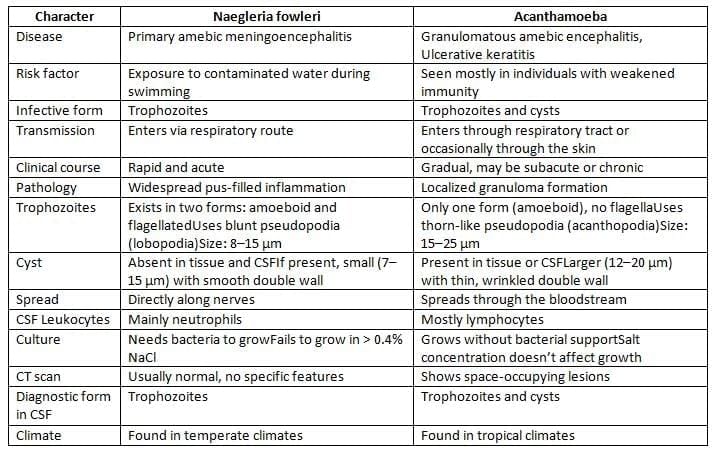 Intestinal Amebae, Free-Living Ameba and Balantidium Coli Chapter Notes | Microbiology - NEET PG