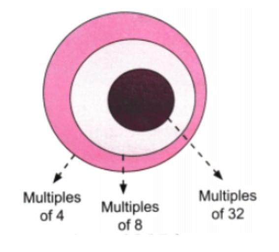 Number Play NCERT Solutions | Mathematics Class 8- New NCERT (Ganita Prakash)
