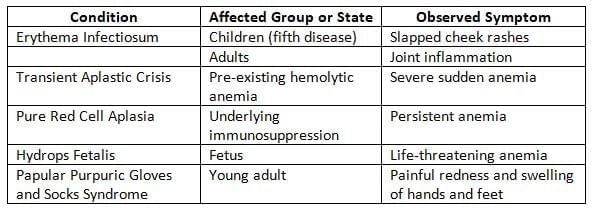 Herpesviruses and Other DNA Viruses Chapter Notes | Microbiology - NEET PG