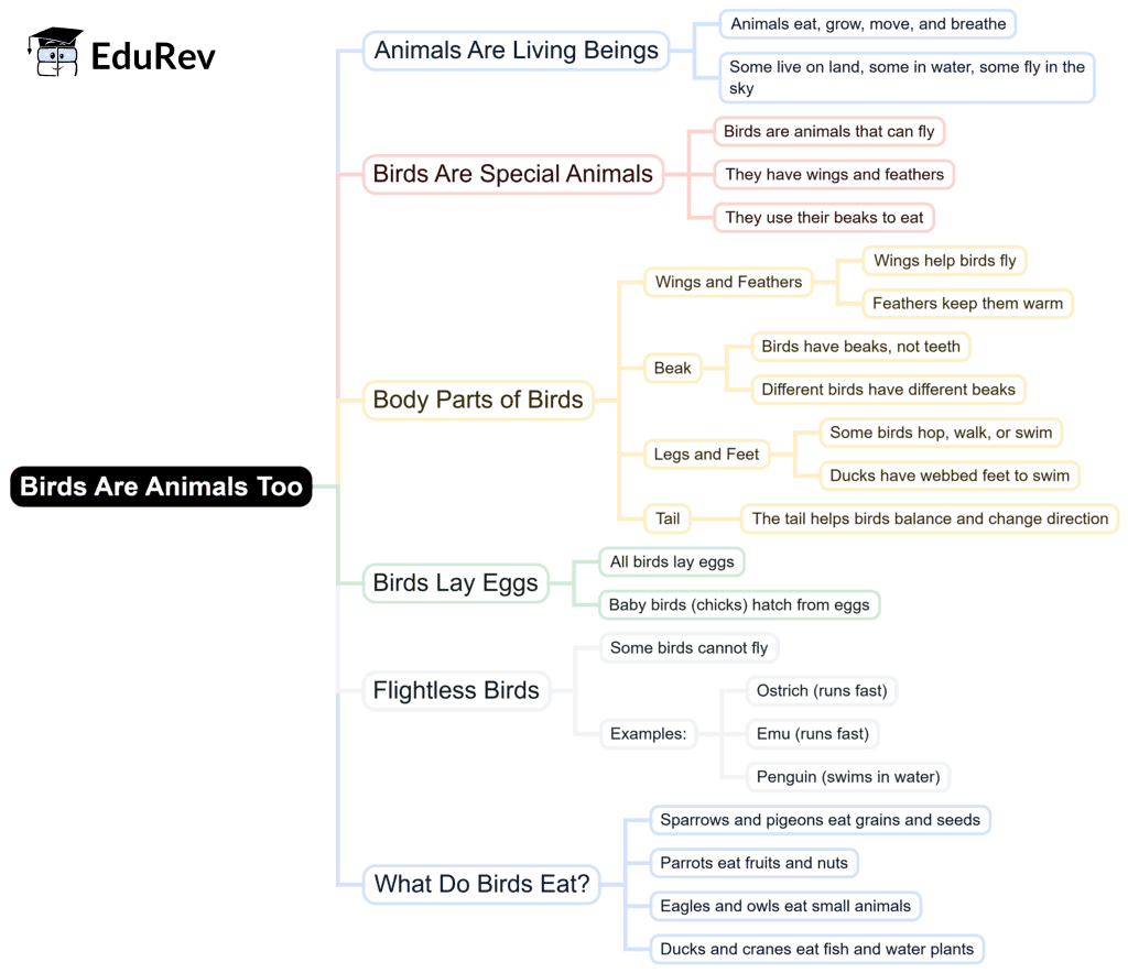 Mind Map: Birds are Animals too | EVS for Class 1