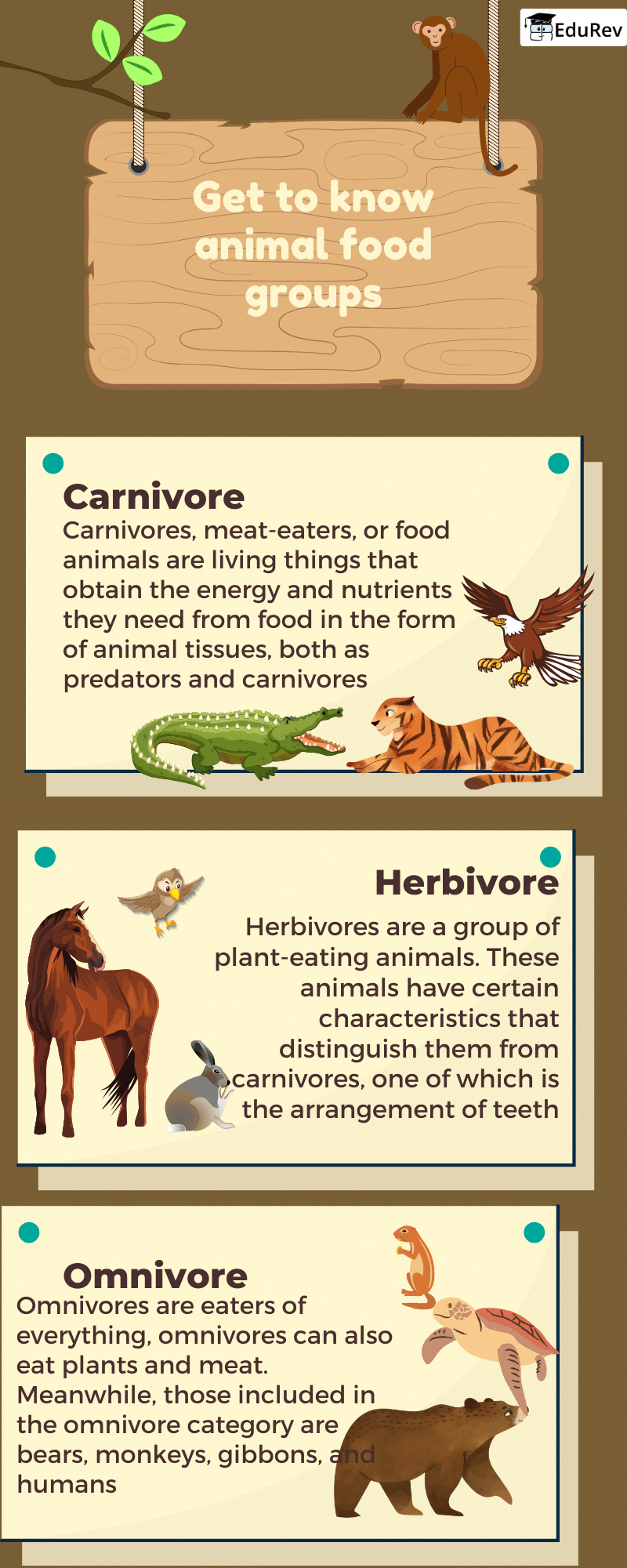 Infographics: Animals food
