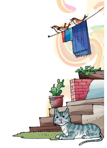दो गौरैया Chapter Notes | Chapter Notes For Class 8