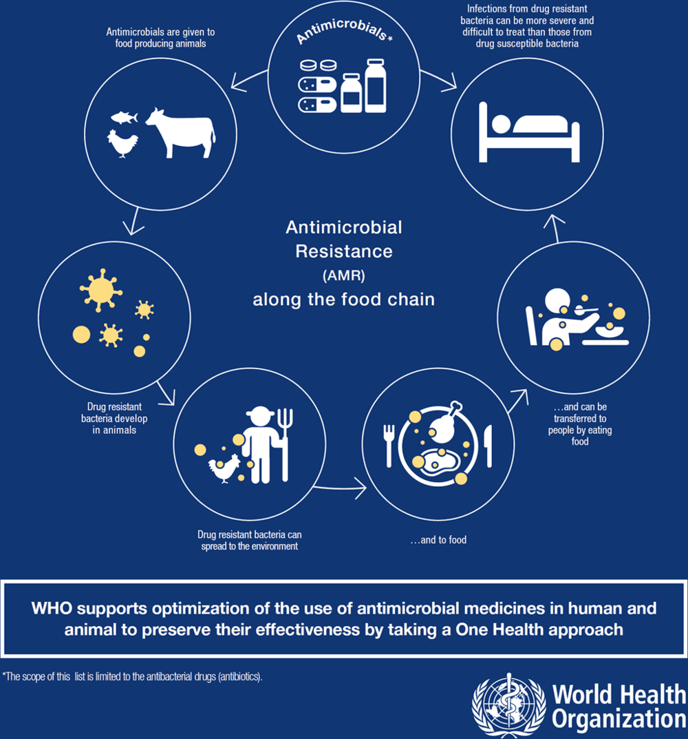 WHO Guidelines on Antimicrobial Resistance (AMR)