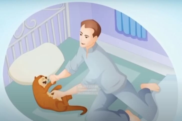 NCERT Solutions for Class 10 English Chapter 6 - Mijbil the Otter