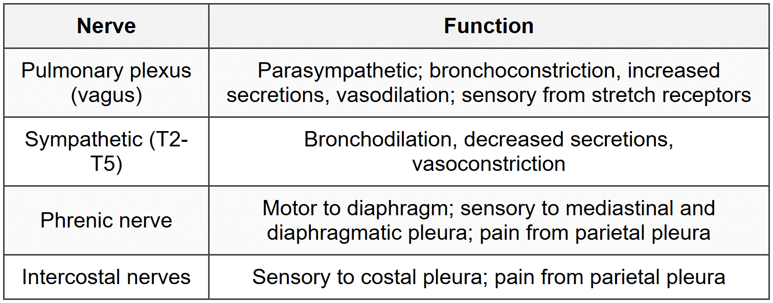 4.5 Nerve Supply