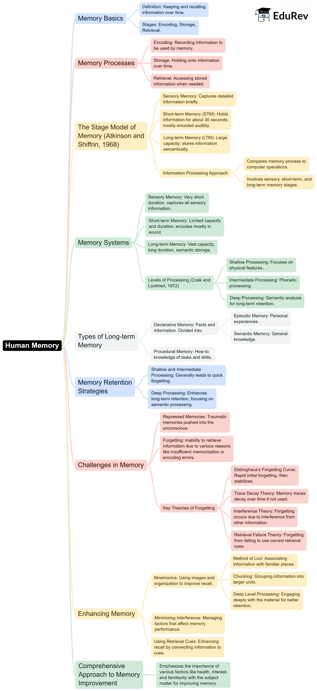 Mind Map: Human Memory | Psychology Class 11 - Humanities/Arts