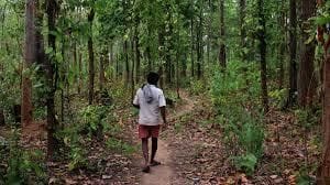 The Legal Hoodwinking of Adivasis