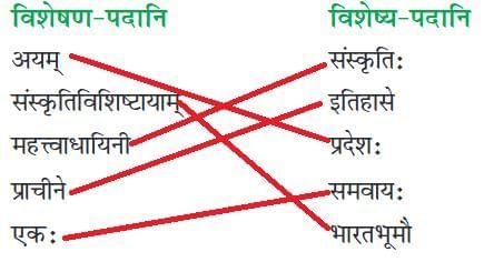 सप्तभगिन्यः NCERT Solutions | संस्कृत कक्षा 8 (Sanskrit Class 8)
