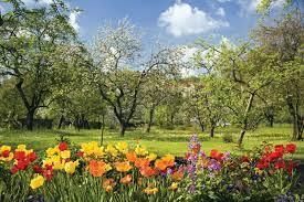 Seasons and their Characteristics | General Knowledge for Young Learners - Class 1