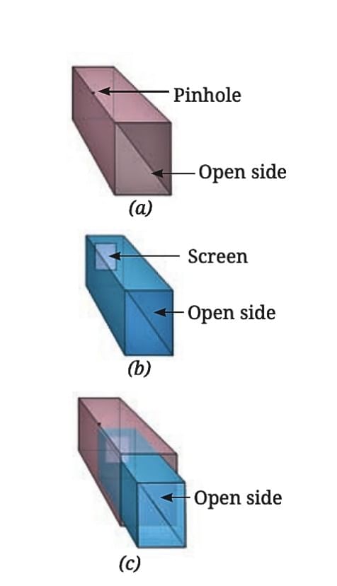Light: Shadows and Reflections Class 7 Notes Science Chapter 11 Free PDF
