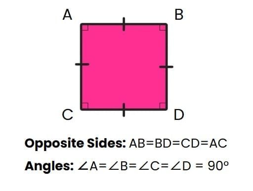 Fun with Shapes Chapter Notes | Mathematics for Class 3 (Maths Mela)