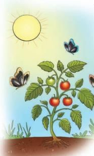 Energy, How Things Work Chapter Notes | Our Wondrous World  Class 5 - New NCERT