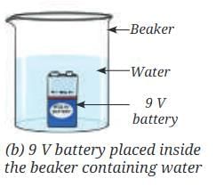 NCERT Based Activity: Nature of Matter: Elements, Compounds, and Mixtures | Science Curiosity Class 8 -  New NCERT