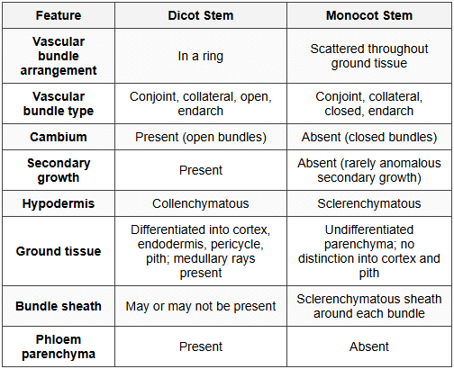 6.3 Comparison: Dicot vs Monocot Stem