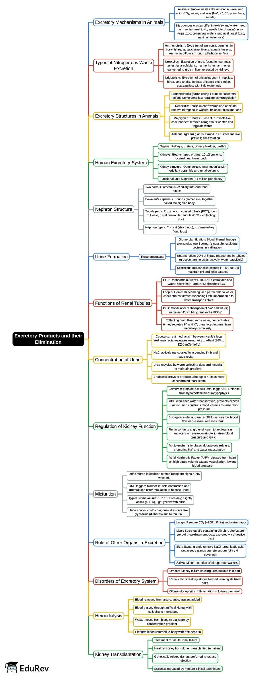 Mind Map: Excretory Products and their Elimination