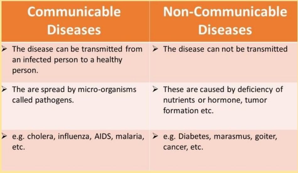 Unit Test (Solutions): Health: The Ultimate Treasure | Science Curiosity Class 8 -  New NCERT