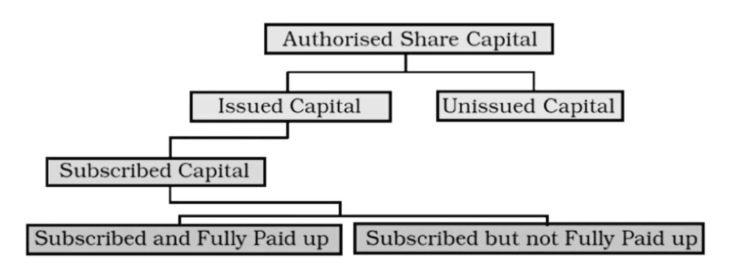 Short Notes: Accounting for Share Capital | Accountancy Class 12 - Commerce