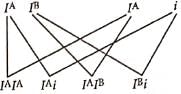 NEET Previous Year Questions(2016-25): Principles of Inheritance & Variation | Biology Class 12