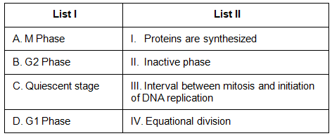 NEET Previous Year Questions (2016-2025): Cell Cycle & Cell Division | Biology Class 11