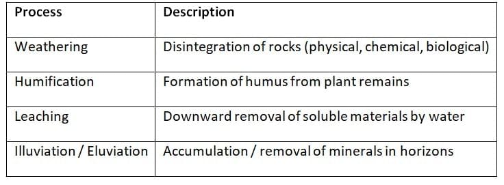 Cheat Sheet: Biogeography: World Environment | Geography for UPSC CSE