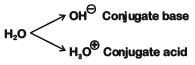 NEET Previous Year Questions (2014-2024): Equilibrium | Chemistry Class 11