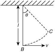 Previous Year Questions (2016-2025): Simple Harmonic Motion (Oscillations) | JEE Main