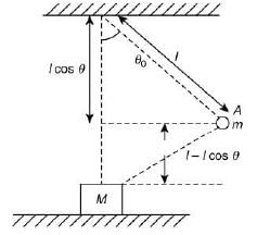 Previous Year Questions (2016-2025): Simple Harmonic Motion (Oscillations) | JEE Main