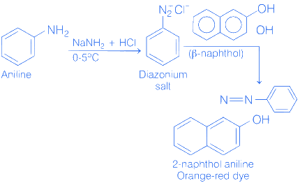 JEE Previous Year Questions (2021-2025): Compounds Containing Nitrogen | 35 Years Chapter wise Previous Year Solved Papers for JEE