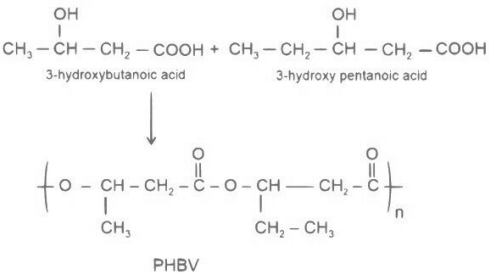 JEE Previous Year Questions (2022-21): Polymers