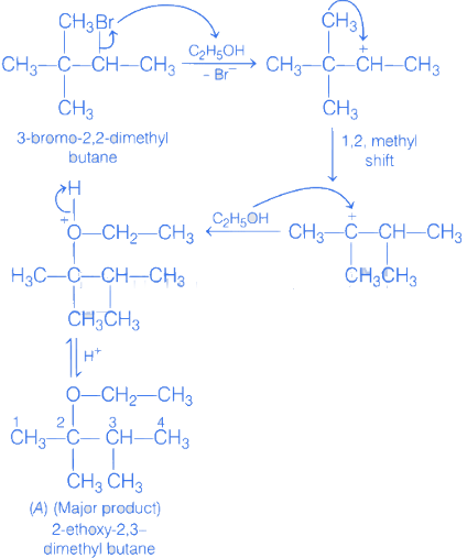 JEE Main Previous Year Questions (2016- 2025): Hydrocarbons