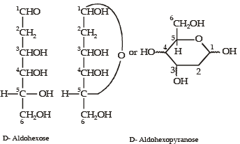 Integer Type ques of Carbohydrates, Amino Acids, Polymers & Miscellaneous Match the Following, Past | Additional Study Material for JEE