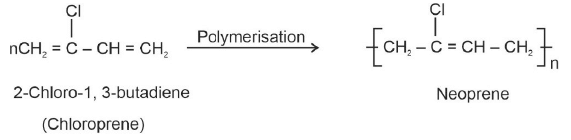 NEET Previous Year Questions (2014-2024): Polymers (Old NCERT) | Chemistry Class 12