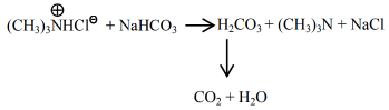 JEE Previous Year Questions (2021-2025): Compounds Containing Nitrogen | 35 Years Chapter wise Previous Year Solved Papers for JEE