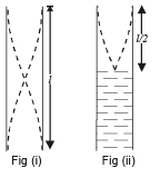 JEE Advanced (Fill in the Blanks): Waves | Chapter-wise Tests for JEE Main & Advanced