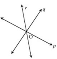 Ex-10.1, Basic Geometrical Concepts, Class 6, Maths RD Sharma Solutions | RD Sharma Solutions for Class 6 Mathematics