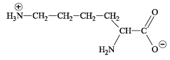Integer Type ques of Carbohydrates, Amino Acids, Polymers & Miscellaneous Match the Following, Past | Additional Study Material for JEE