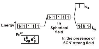 NEET Previous Year Questions (2014-2024): Coordination Compounds | Chemistry Class 12
